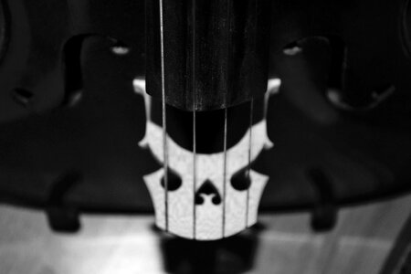 Free stock photo of black and-white, bw, cello photo