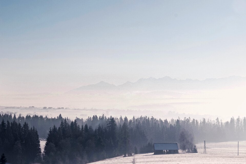 Free stock photo of forest, frozen, mountains