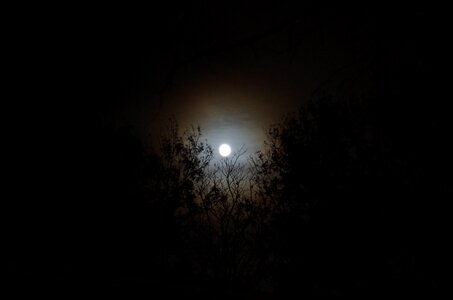 Free stock photo of moon, nature, night photo