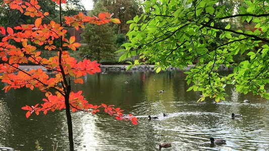 Free stock photo of autumn seasons-nature-park photo