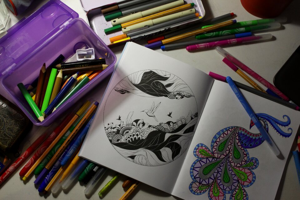 Free stock photo of anti stress, art, coloringbook