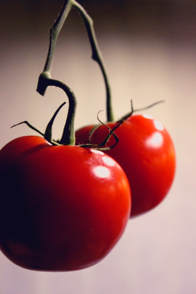 Free stock photo of makro, red, vegetables
