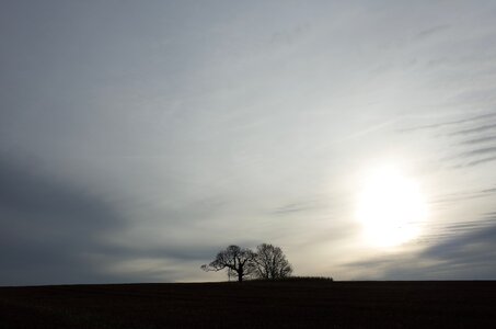 Free stock photo from Tookapic