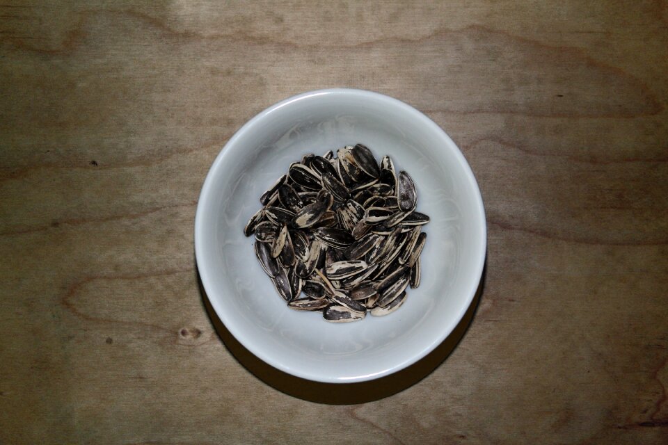 Free stock photo of food, night, seeds