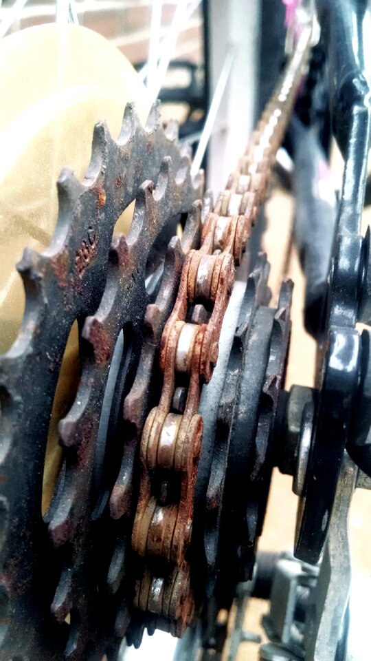Free stock photo of chain, gear, rust