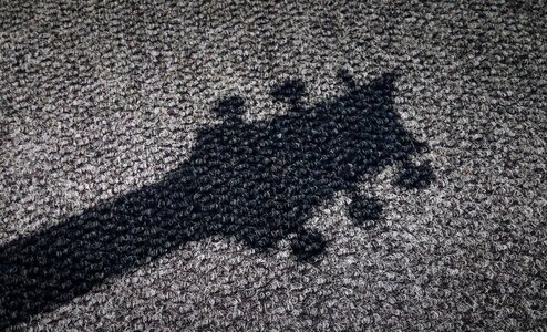 Free stock photo of carpet, guitar, shadow photo