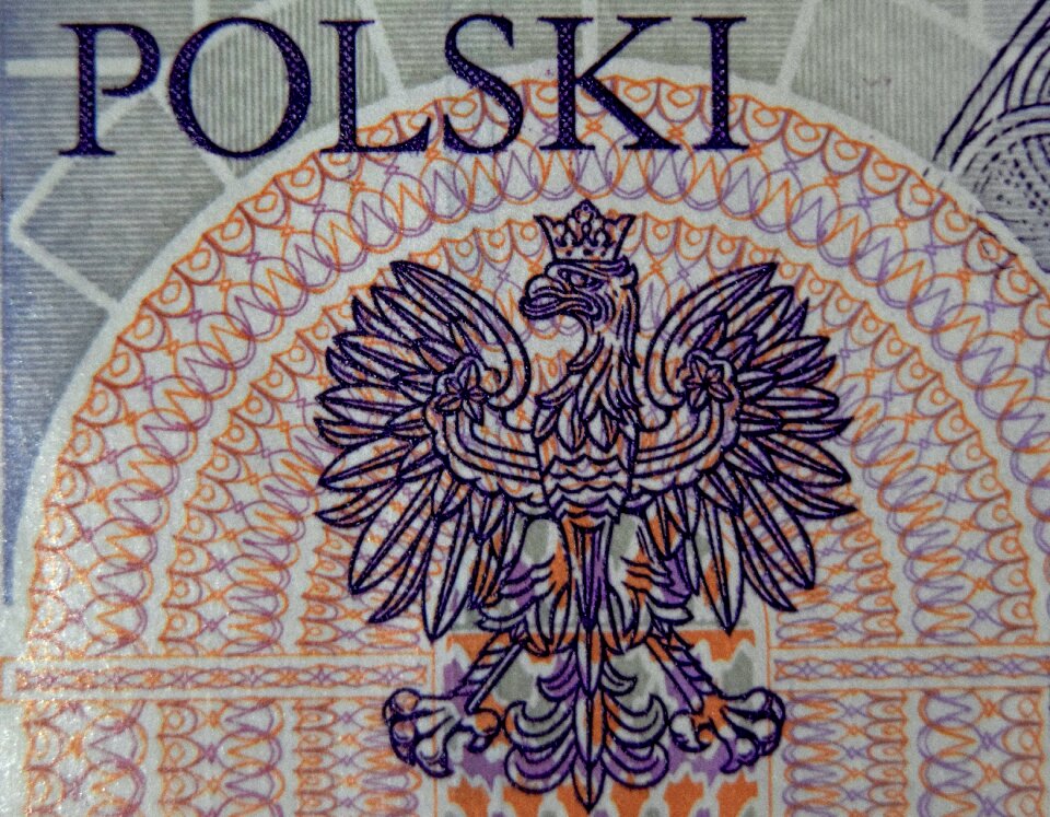Free stock photo of banknote, eagle, emblem
