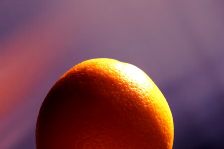 Free stock photo of fruit, orange
