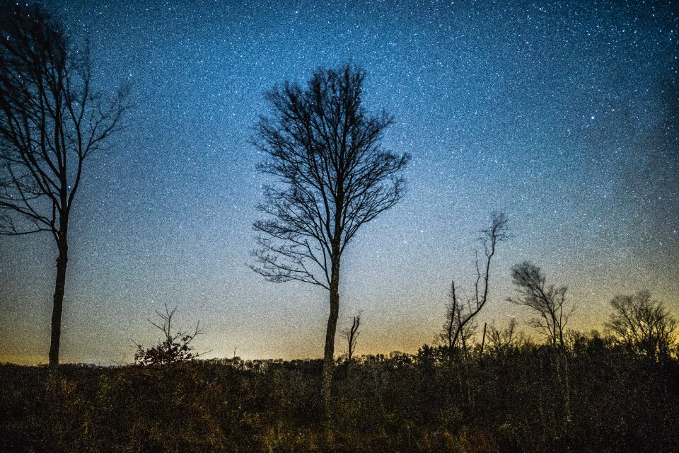 Free stock photo of night