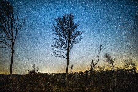 Free stock photo of night