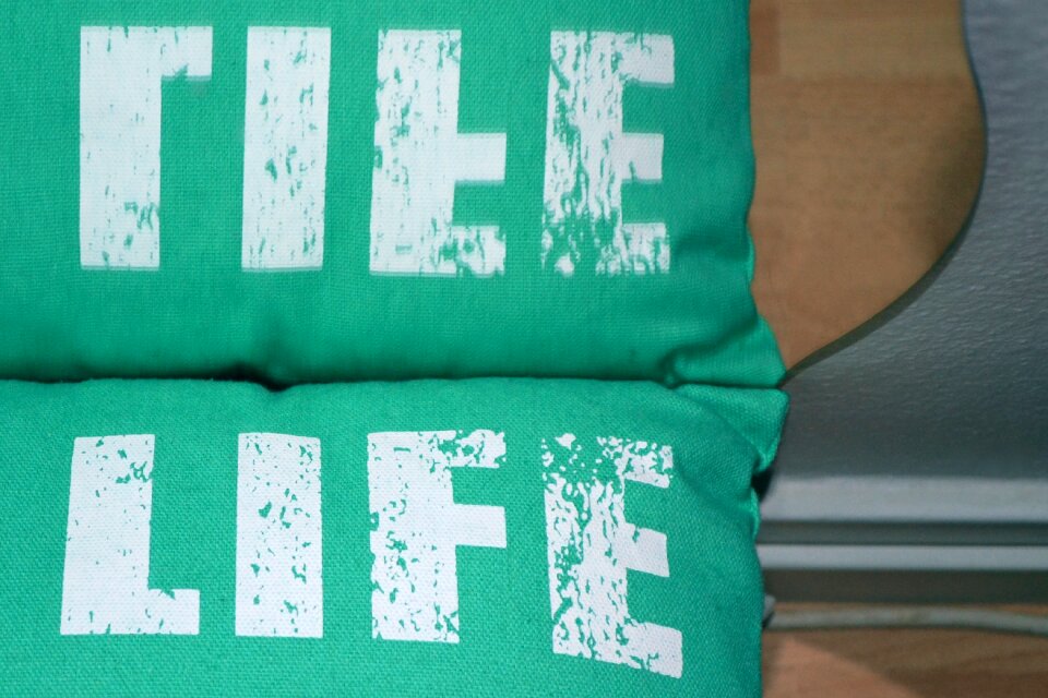 Free stock photo of green, life, mirror