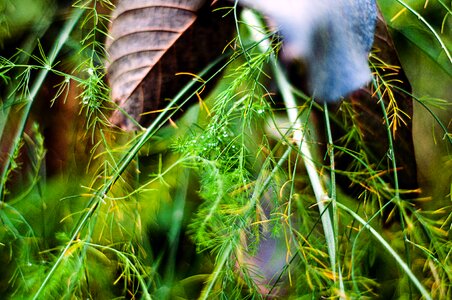 Free stock photo from Tookapic