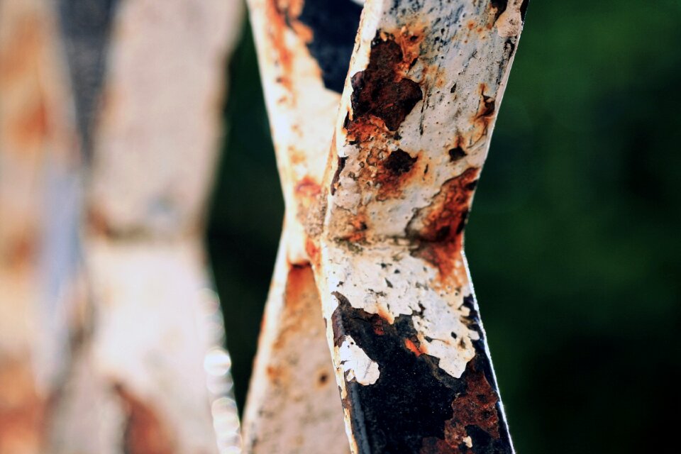 Free stock photo of detail, X