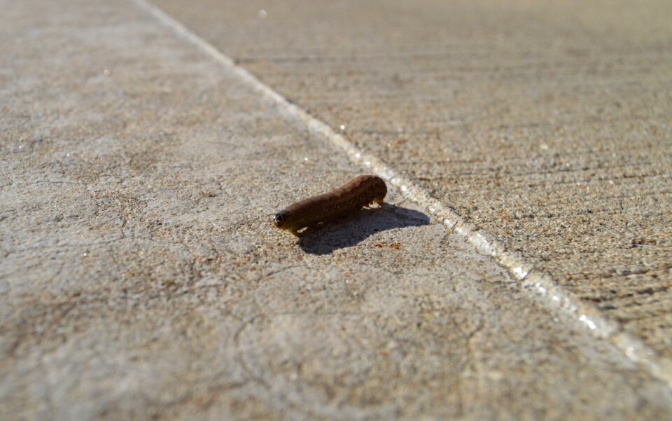 Free stock photo from Tookapic