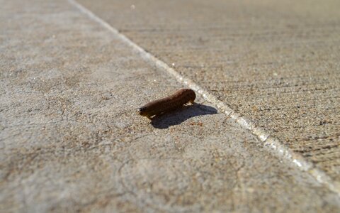 Free stock photo from Tookapic