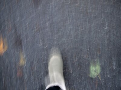 Free stock photo from Tookapic
