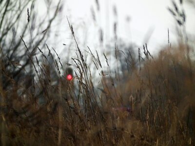 Free stock photo from Tookapic