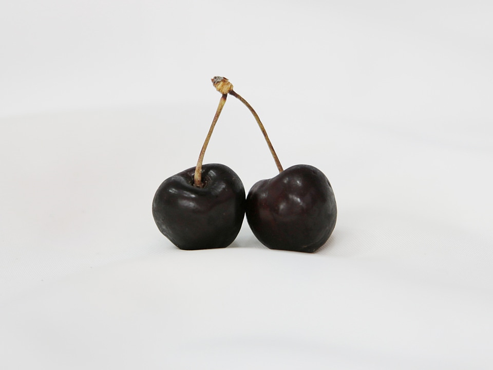 Power cherry fruit tree
