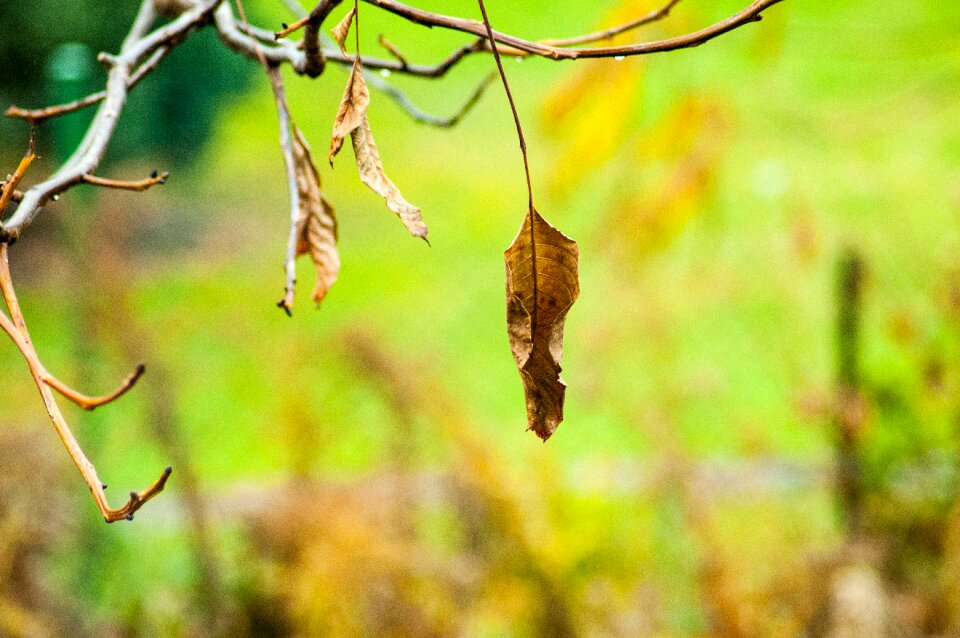 Free stock photo from Tookapic