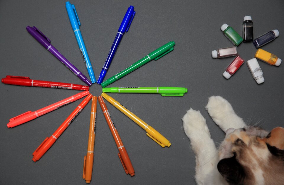 Free stock photo of cat, paint, pen