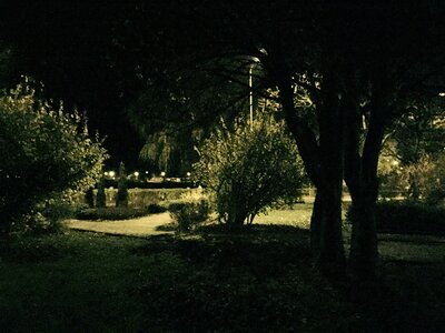 Free stock photo of night