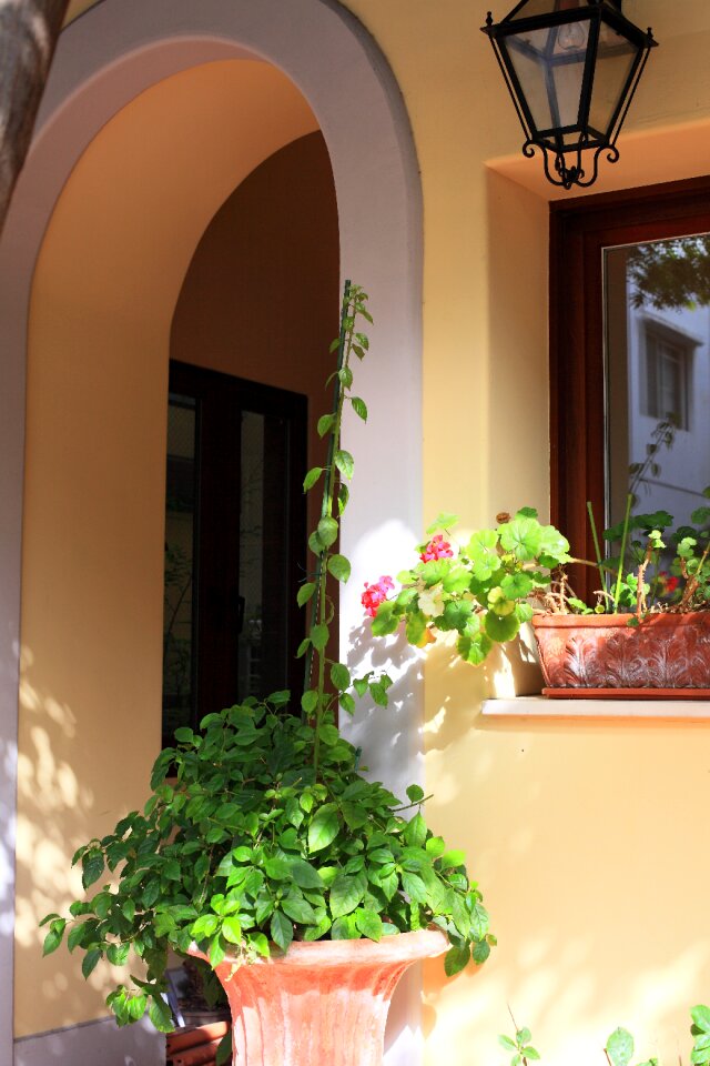 Free stock photo of basil, building, entrance
