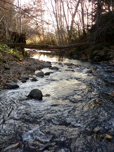 Free stock photo of auvergne