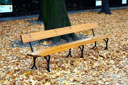 Free stock photo of bench, brown photo