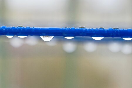 Free stock photo of droplets, theme water, water