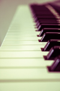 Instrument piano keys piano keyboard