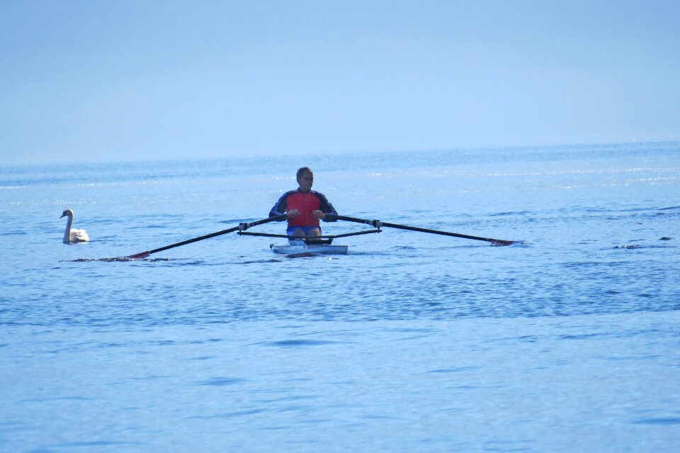 Free stock photo of blue, boat, oarsman