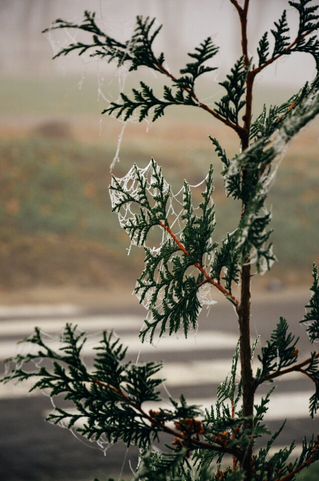 Free stock photo from Tookapic