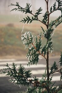 Free stock photo from Tookapic
