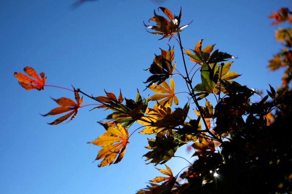 Free stock photo from Tookapic