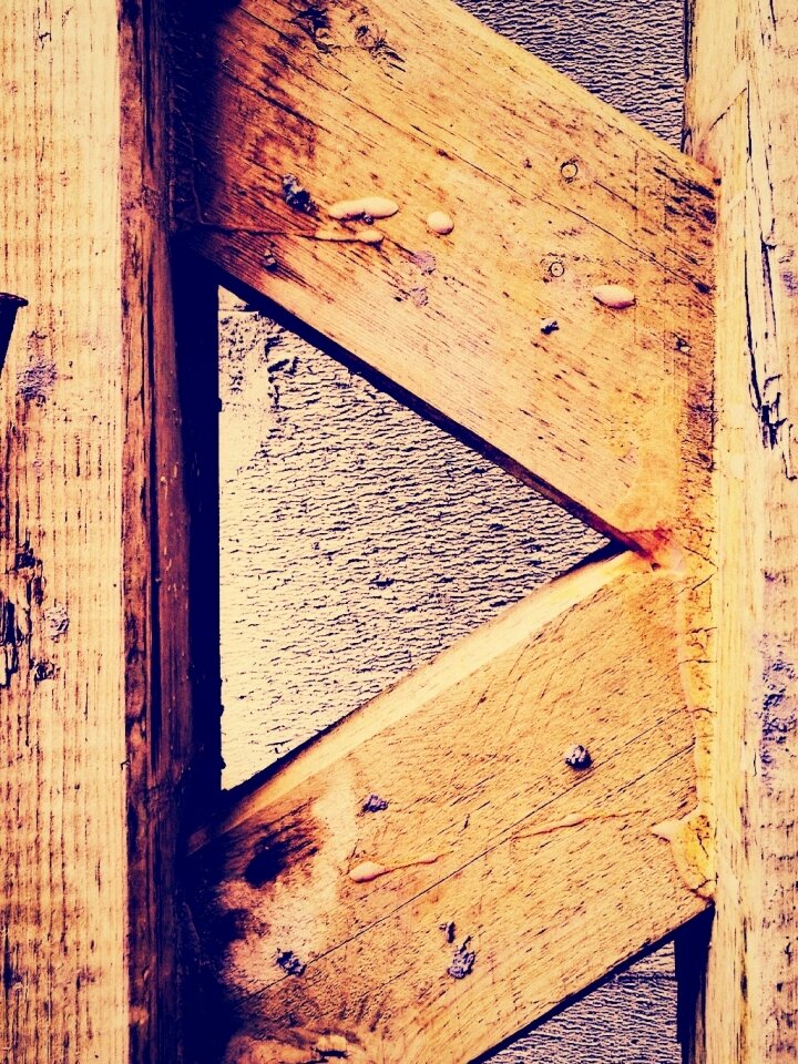 Free stock photo from Tookapic