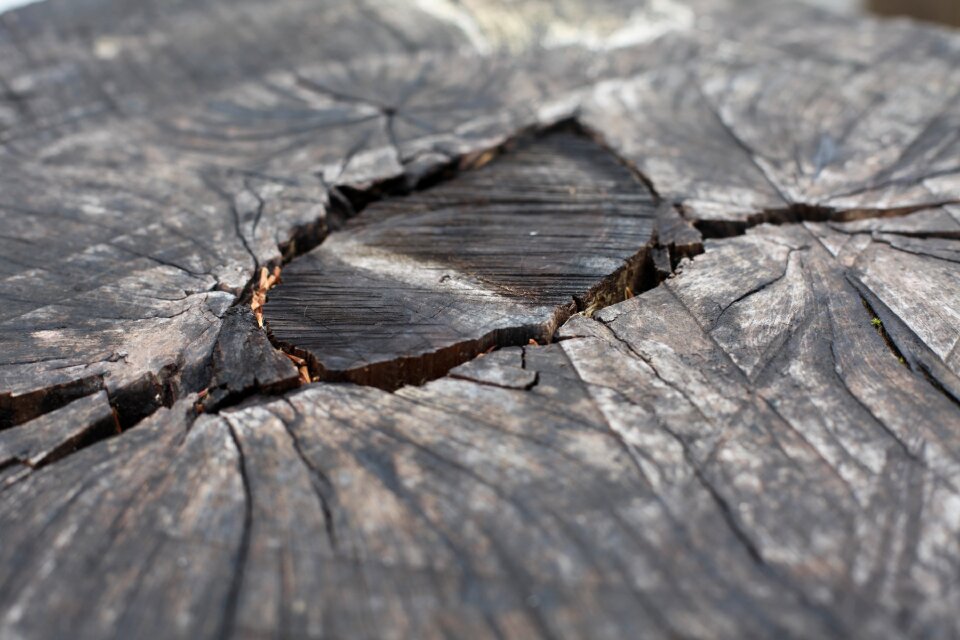 Free stock photo of detail wood, grey
