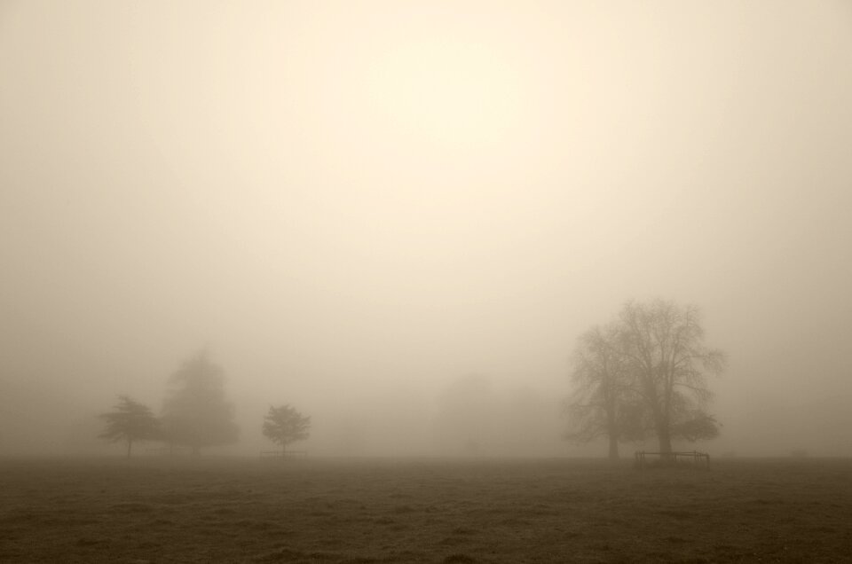 Free stock photo from Tookapic