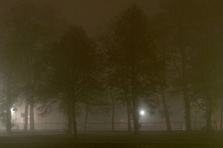 Free stock photo of fog