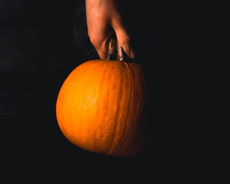 Free stock photo of pumpkin