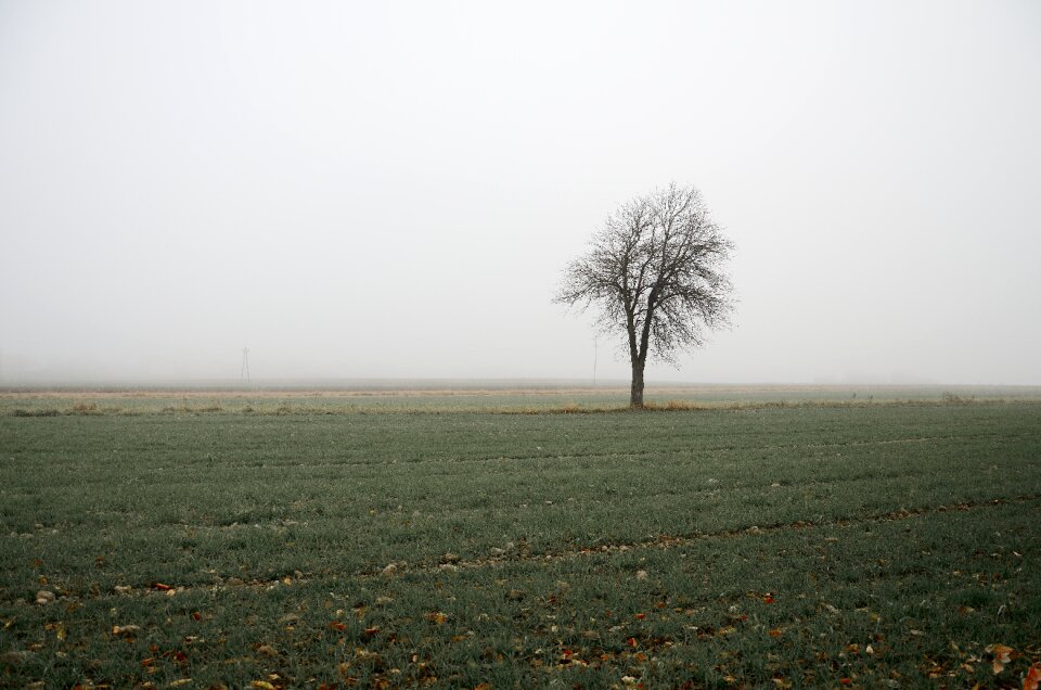 Free stock photo from Tookapic