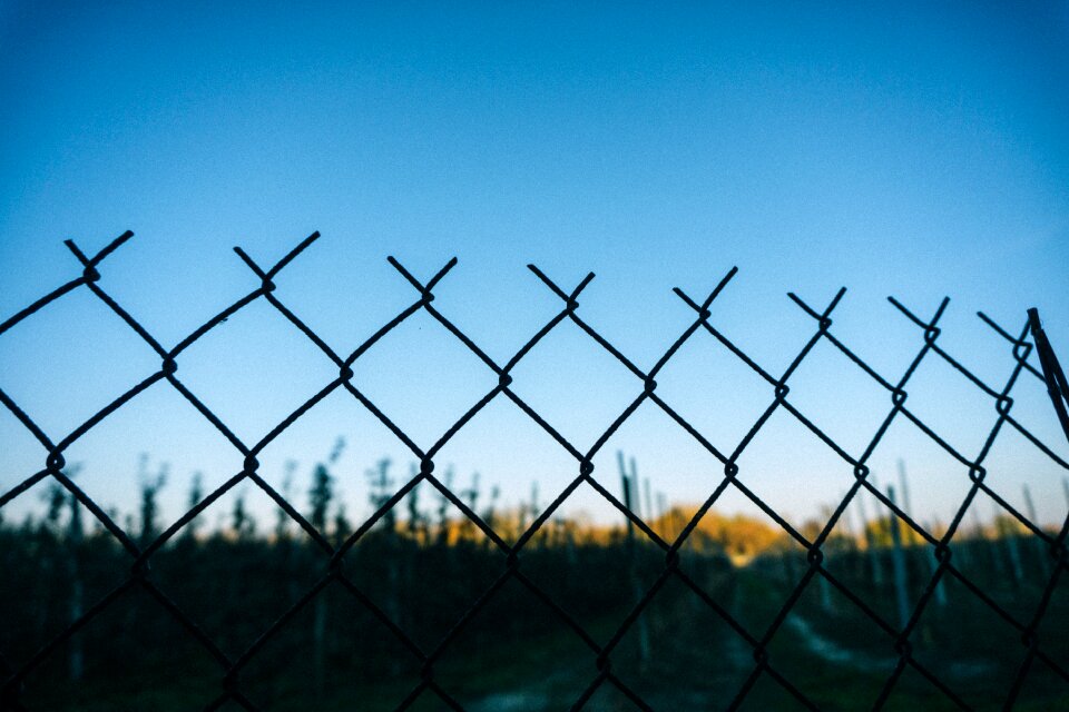 Free stock photo of apples, fence, sky