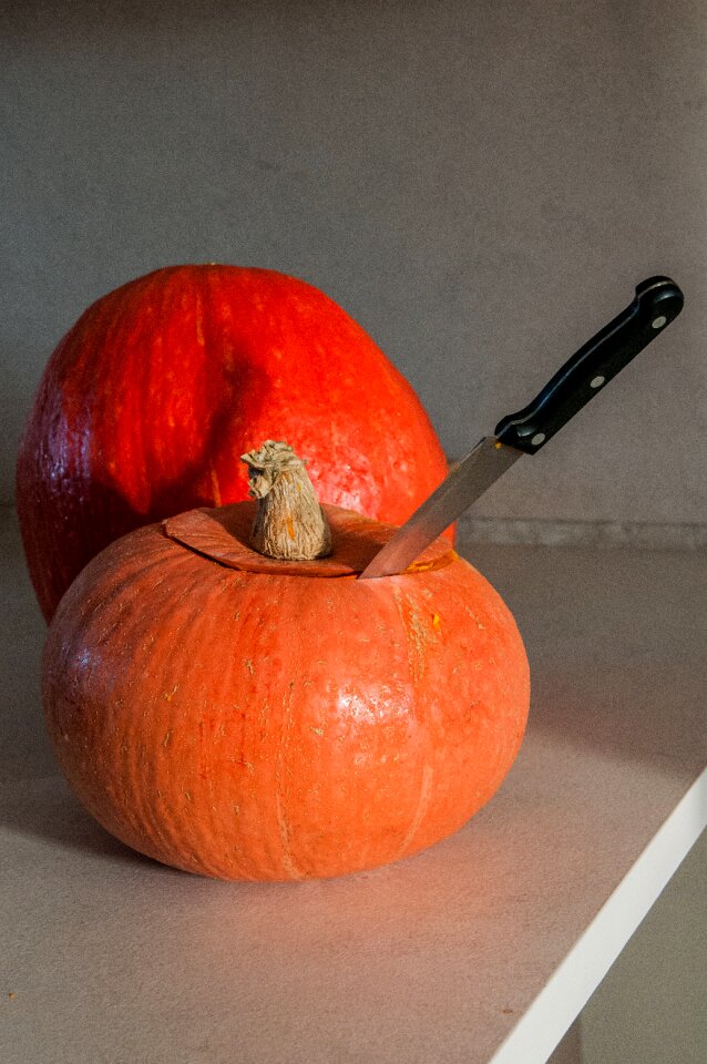 Free stock photo of pumpkin