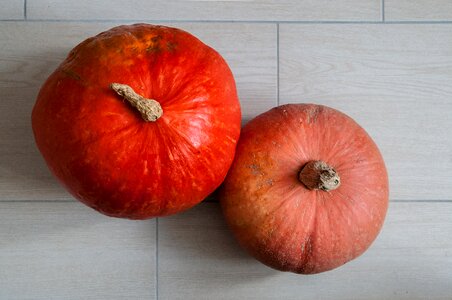 Free stock photo of punmpkin