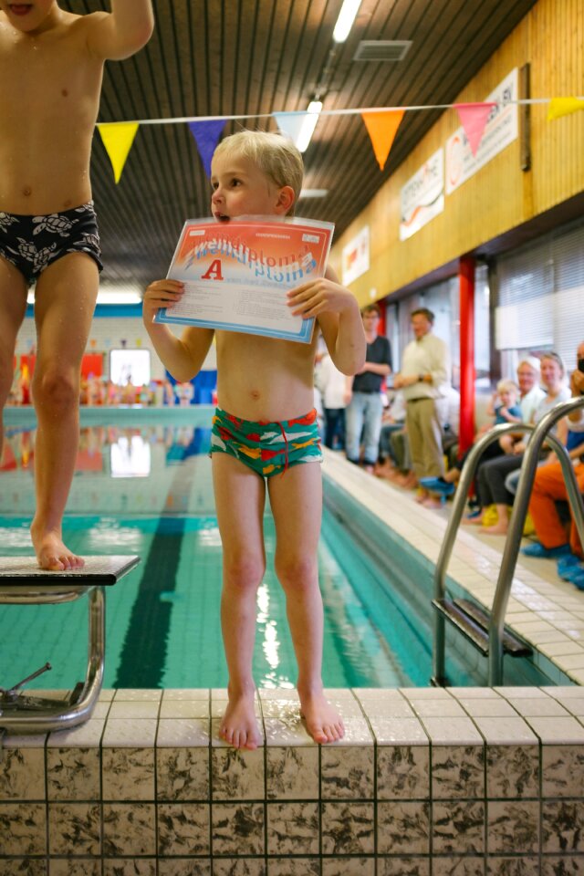 Free stock photo of swimming