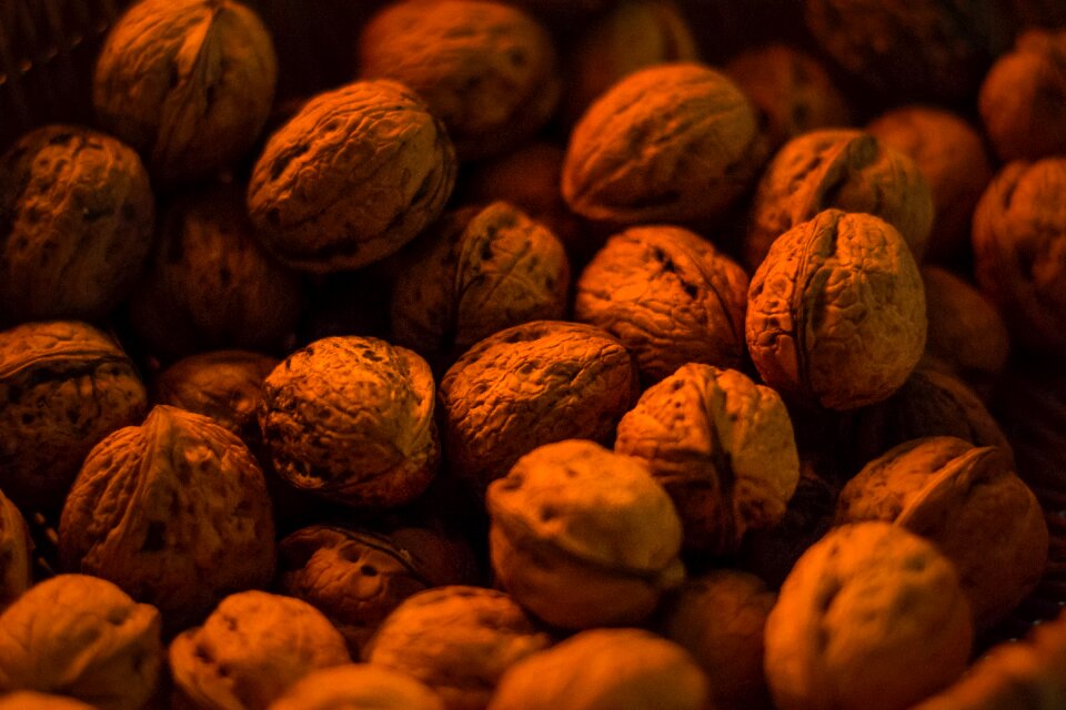 Free stock photo from Tookapic