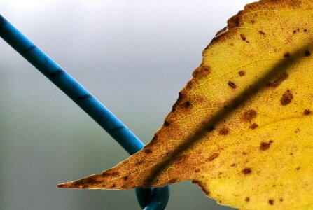 Free stock photo from Tookapic