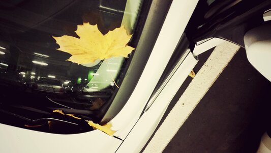 Free stock photo of car, colours