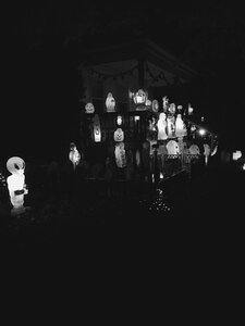 Free stock photo of black and-white, halloween photo