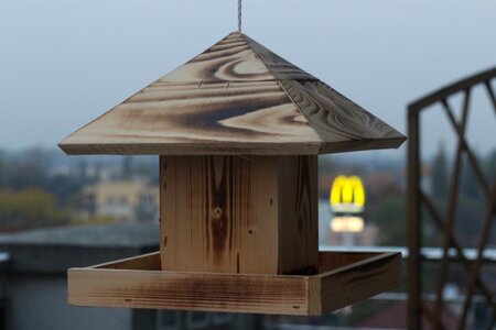Free stock photo of architecture, bird house, blur photo