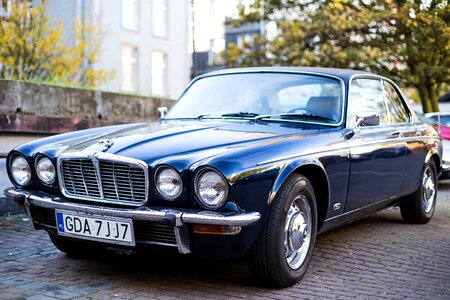 Free stock photo of car, jaguar